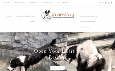 maessr.org screenshot