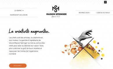 maisonspringer.com screenshot