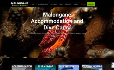 malongane.com screenshot