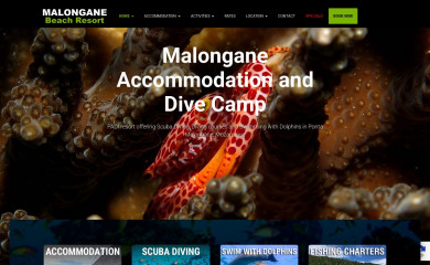 malongane.com screenshot