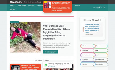 mallgede.com screenshot
