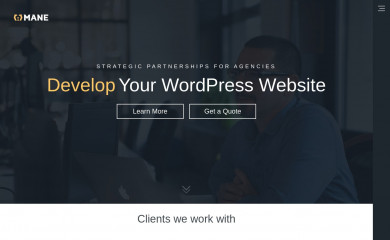 https://manedigital.co/ screenshot