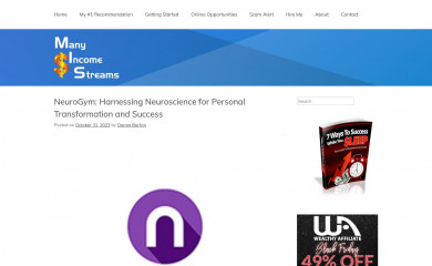 manyincomestreams.com screenshot