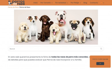 mascotaenadopcion.com screenshot