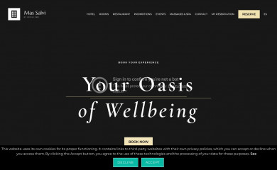 massalvi.com screenshot