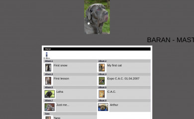 mastinonapoletano.ro screenshot