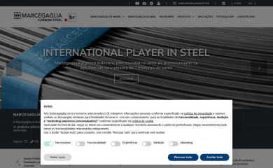 marcegaglia.com.br screenshot
