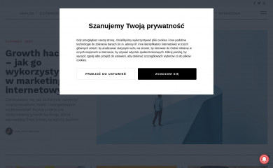 marketinglink.pl screenshot