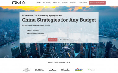 marketingtochina.com screenshot