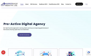 marketraiseindia.com screenshot