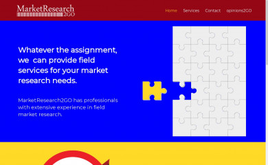 marketresearch2go.com screenshot