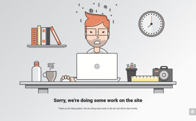martenstiekema.com screenshot