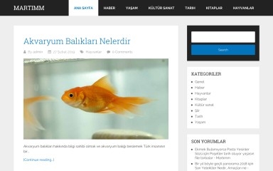 http://martimm.com screenshot