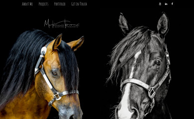 martinatomanova.com screenshot