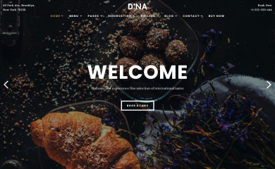 https://matchthemes.com/demowp/dina screenshot