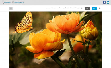 mattboot.pl screenshot