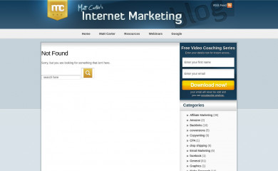 http://mattsmarketingblog.com/wp-theme.html screenshot