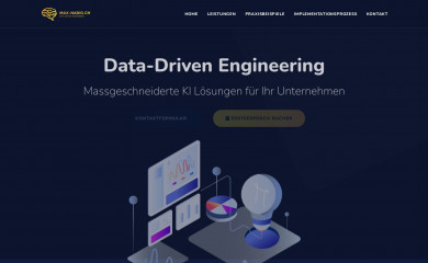 max-nadig.ch screenshot