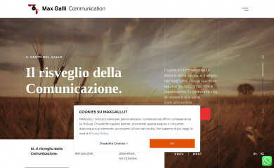 maxgalli.it screenshot