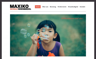 maximilian-kolbe-schule.org screenshot