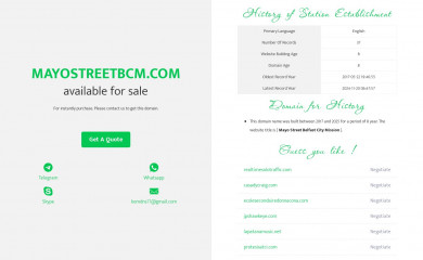 mayostreetbcm.com screenshot