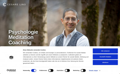 mbsr-kaernten.at screenshot