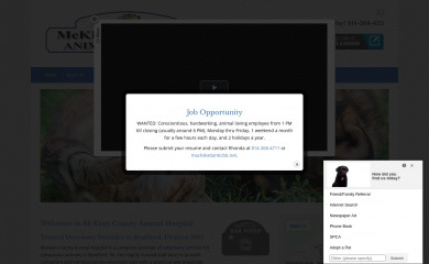 mckeancountyanimalhospital.net screenshot