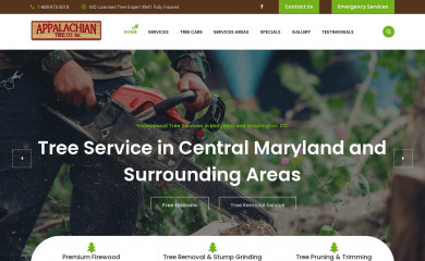 mdtreeexperts.com screenshot