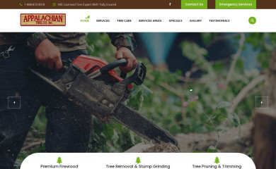 mdtreeexperts.com screenshot