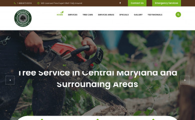 mdtreeexperts.com screenshot