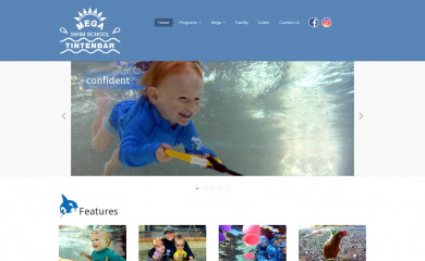 megaswim.com.au screenshot
