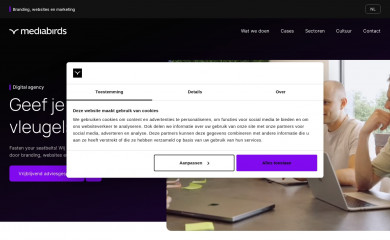 https://mediabirds.nl screenshot