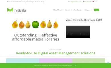 mediafiler.net screenshot