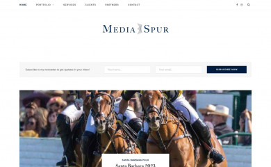 mediaspur.com screenshot