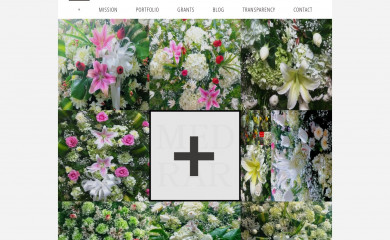 medrarinc.us screenshot