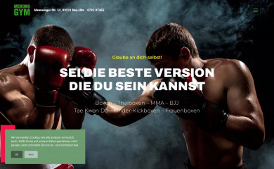 mekong-box-gym.de screenshot