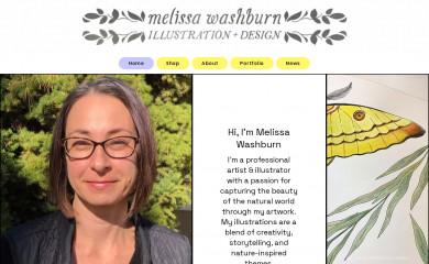 melissawashburn.com screenshot