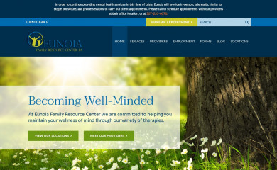 mentalhealthmn.com screenshot