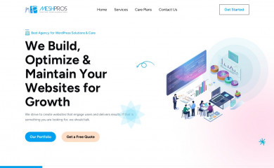 meshpros.com screenshot