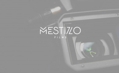 mestizofilms.cl screenshot