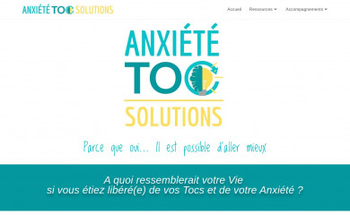 mestoc-solutions.com screenshot
