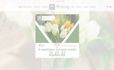 mercuryitaly.com screenshot