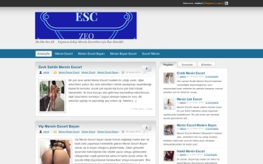 mersinal.com screenshot