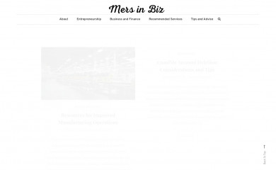 mersinbiz.com screenshot