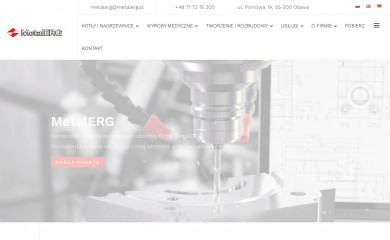 metalerg.pl screenshot