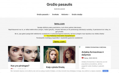 metastudija.lt screenshot