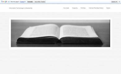 metinesgin.com screenshot