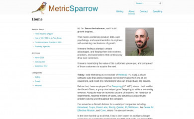 metricsparrow.com screenshot