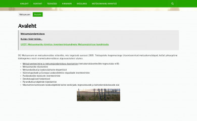 metsaruum.ee screenshot