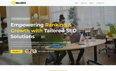 mexseo.info screenshot